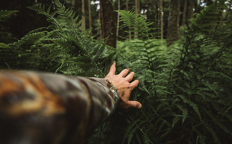 Beyond the Basics: Advanced Survival Skills You Need to Know